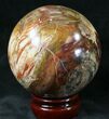 Colorful Petrified Wood Sphere #20640-1